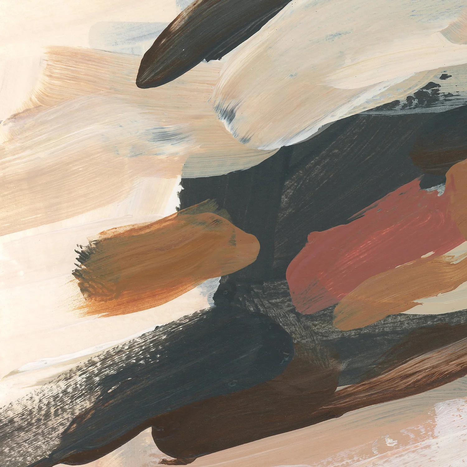 Thumbnail 14