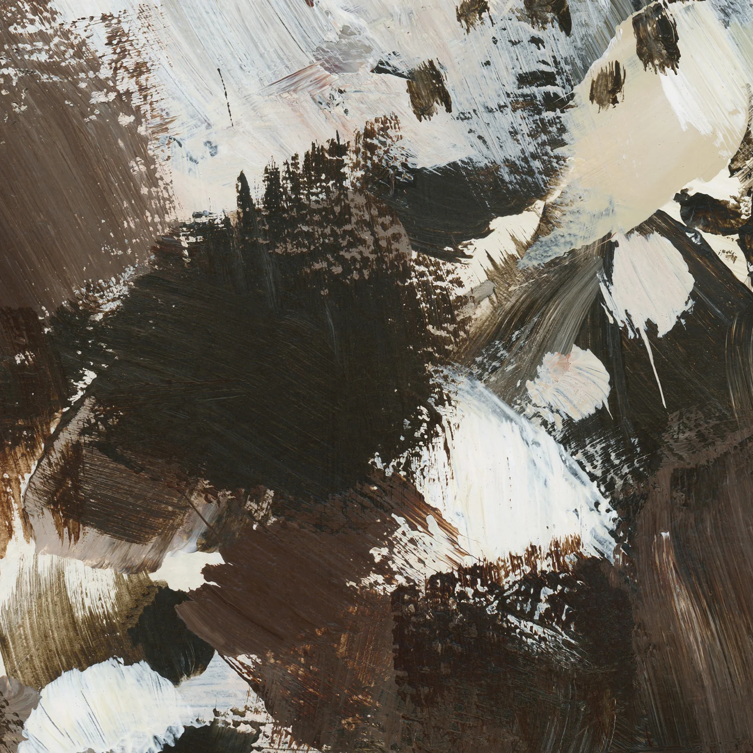 Thumbnail 15